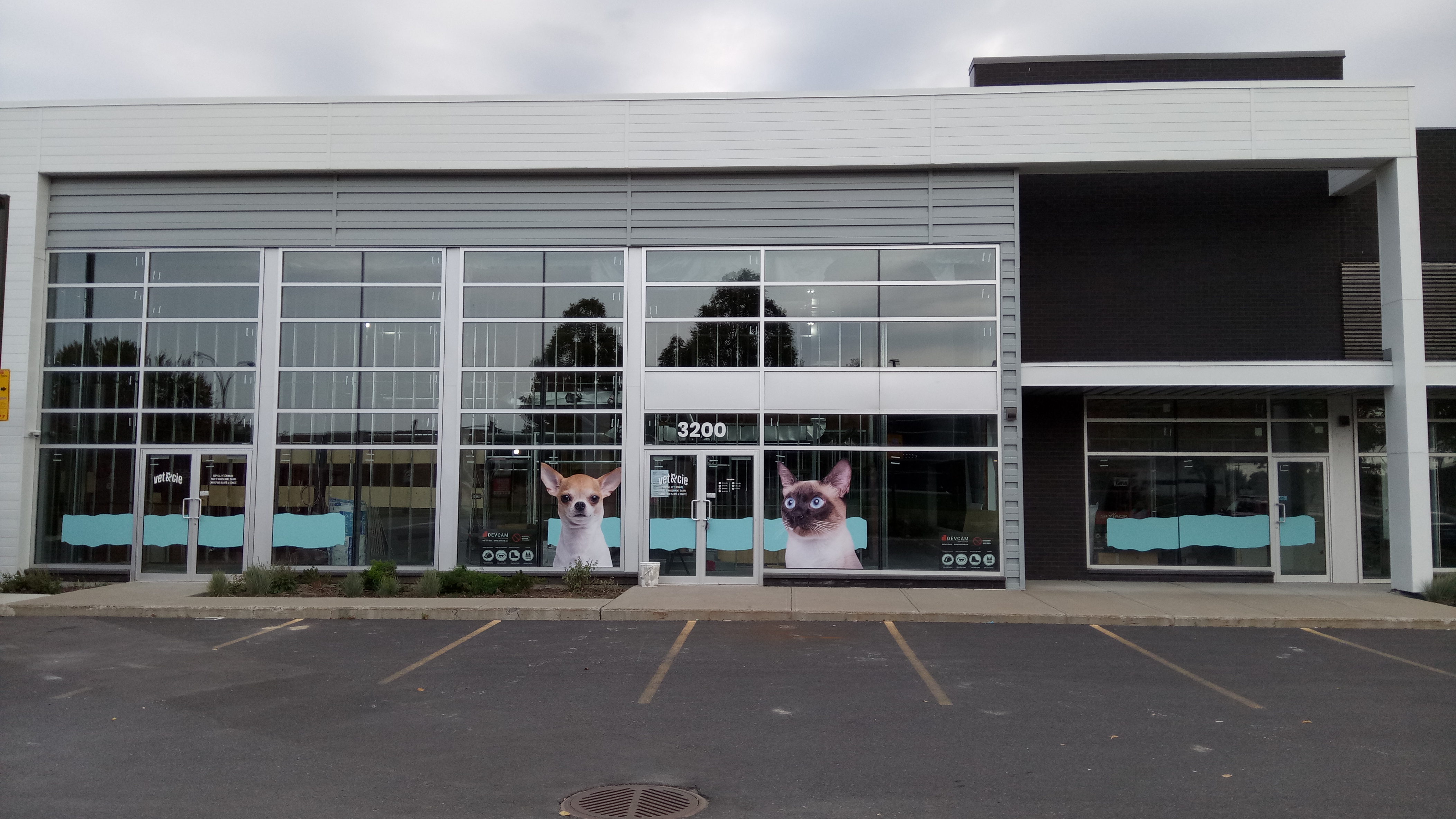 Images Vet & Cie Brossard | Vétérinaire indépendant & québécois, Toilettage, Parc canin, Urgences chiens et chats | Montérégie