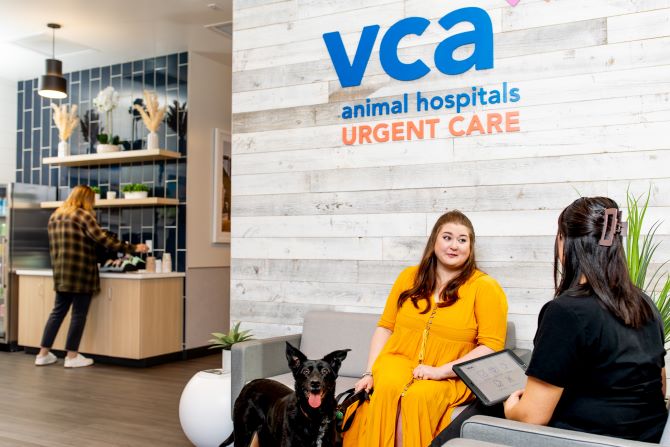 Our thoughtfully designed hospitals create a calm and comfortable environment for you and your pet.