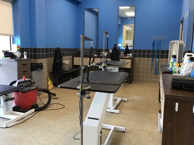 Images Petco Grooming