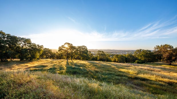 Images Ridgeline at Bickford by Toll Brothers