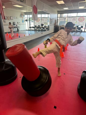 Images Jaguar Dojo