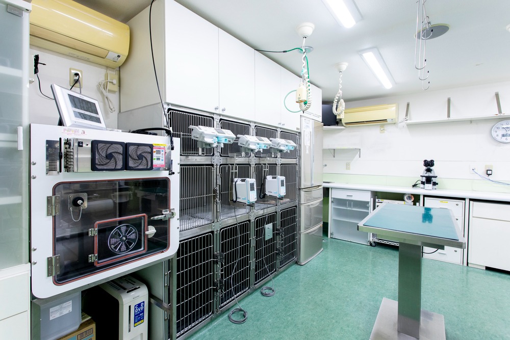 Images 久我山動物医療センター