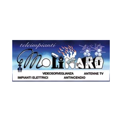 Teleimpianti Molinaro Logo