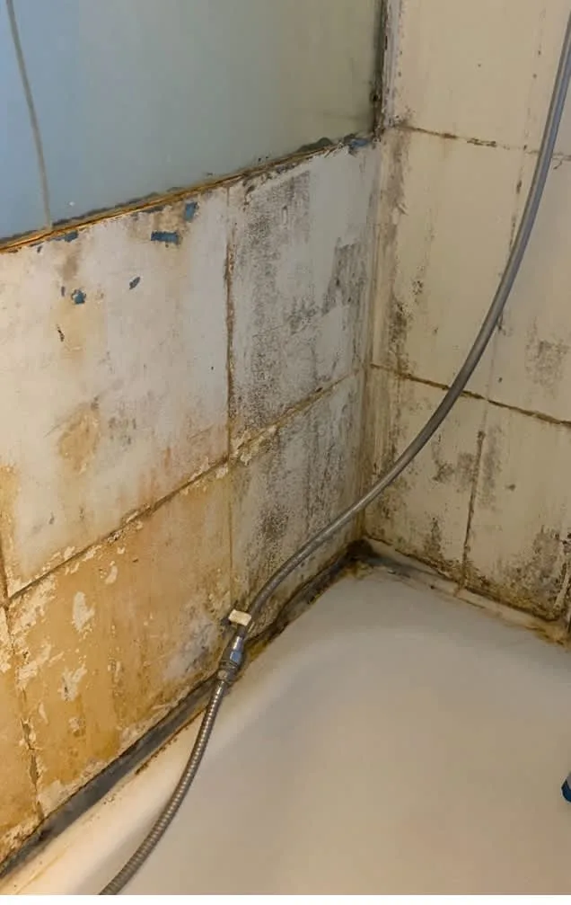 Images Housing Disrepair Experts