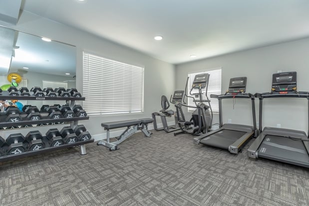 Images Rise Camelback