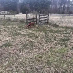 Sniffspot Yolistone Image