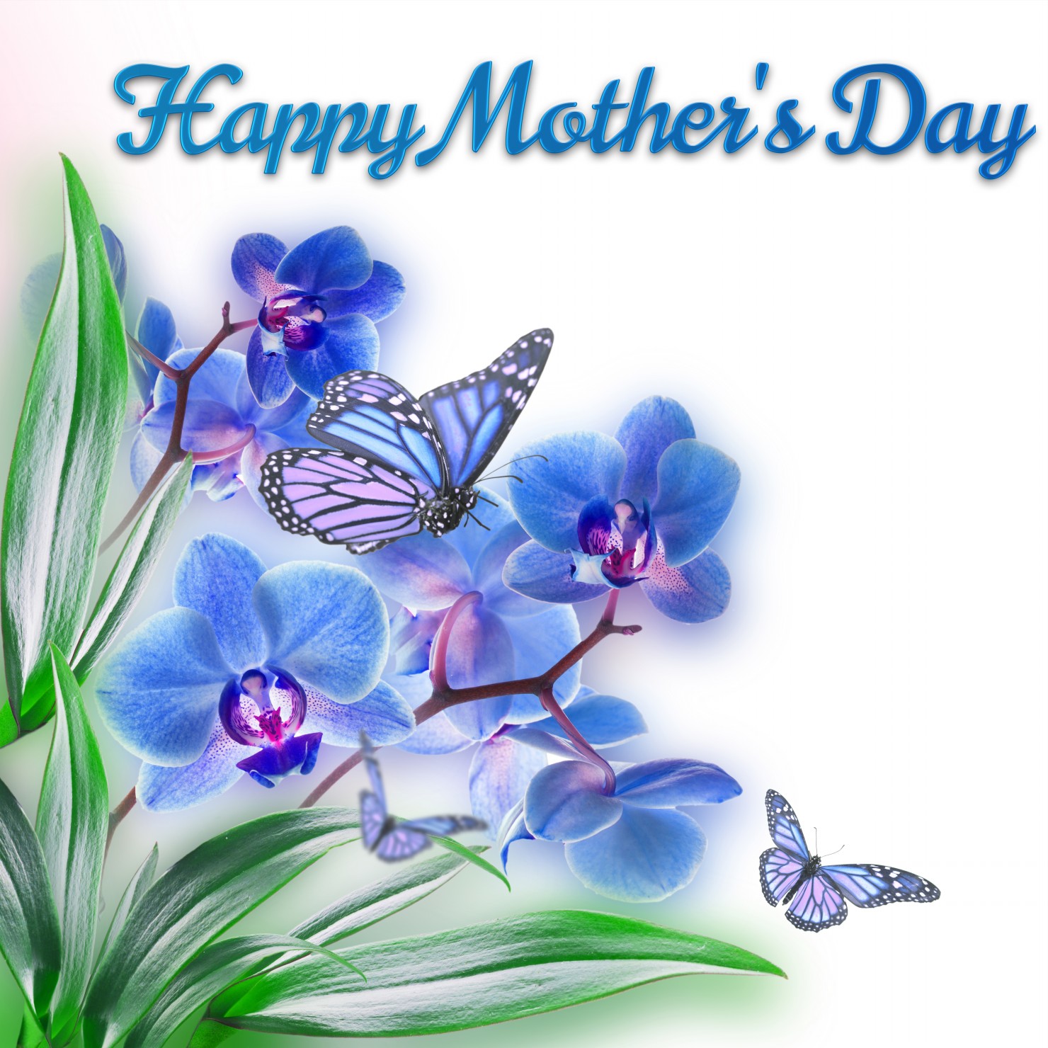 Happy Mothers Day!  from Cosme Lawn Crew Cosme Landscape Maintenance Alsip (708)636-6720