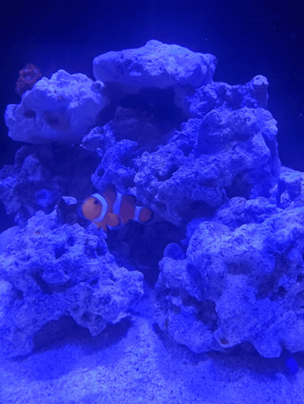 Images Jaron Snoeyenbos - State Farm Insurance Agent