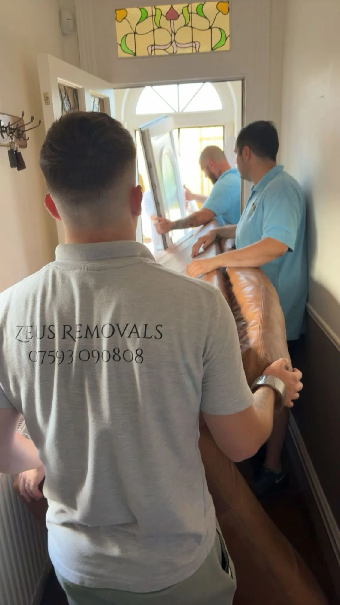 Images Zeus Removals