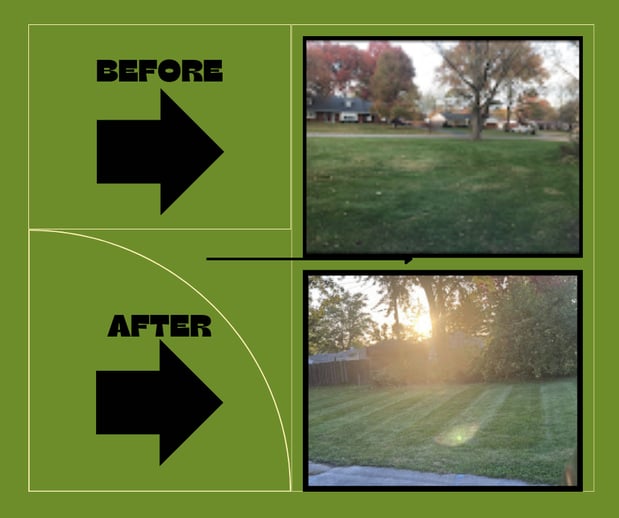 Images Shepherd's Landscaping