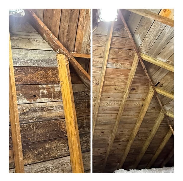 Images Your Crawlspace Solution