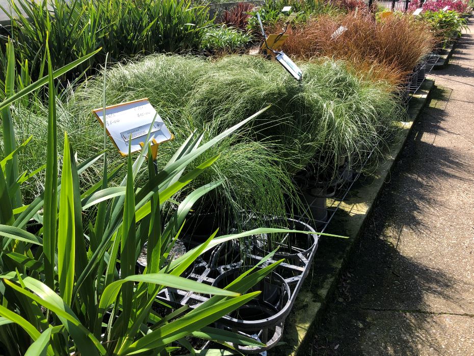 Images Glenvue Nursery