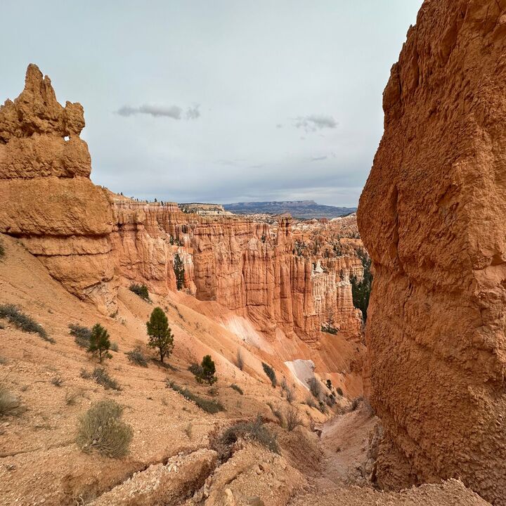Images Brilliant Journeys LLC