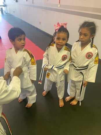 Images Jaguar Dojo