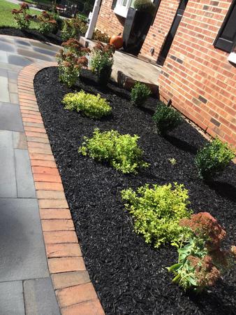 Images Ayala Landscaping LLC