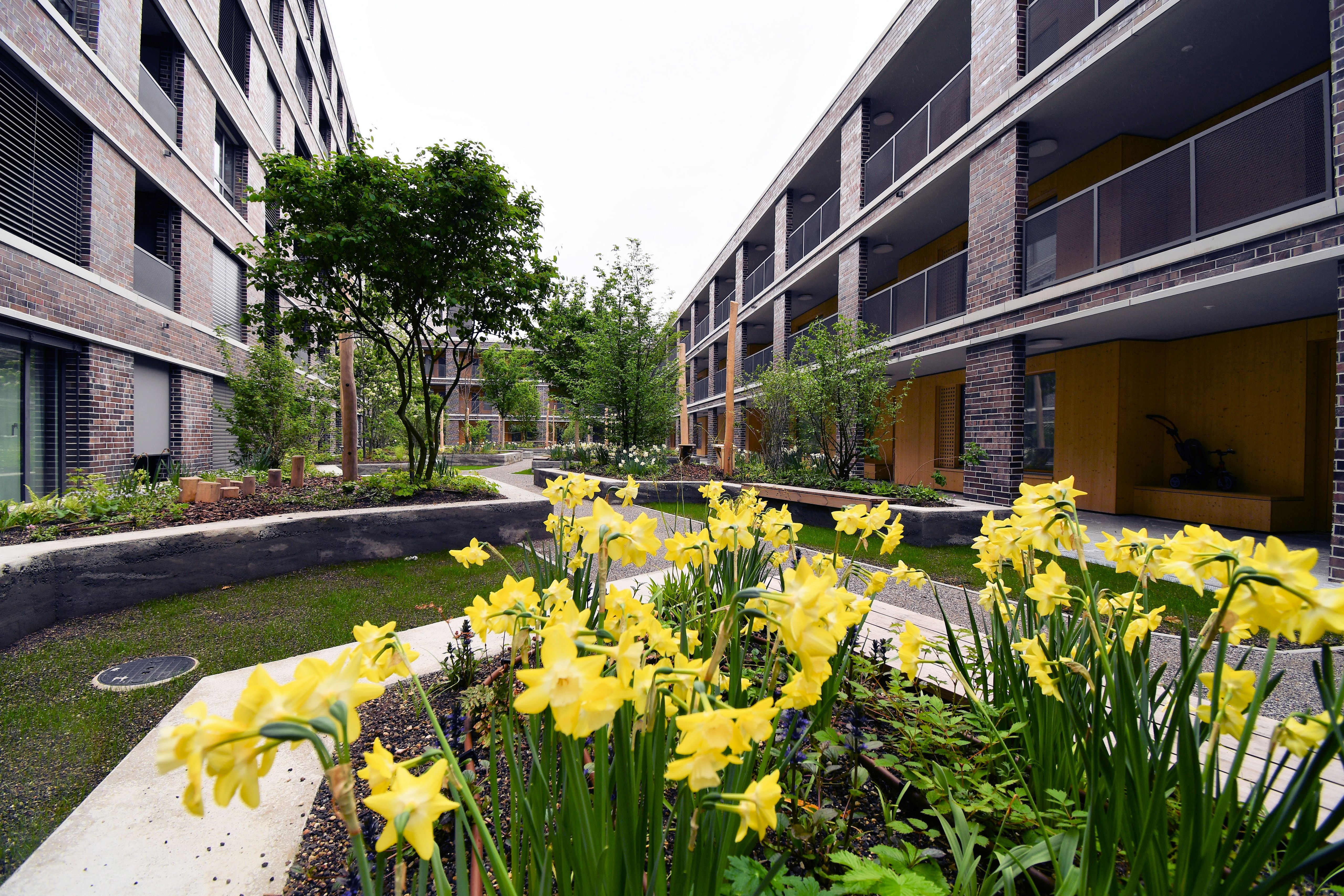 Bilder Zollinger Immobilien