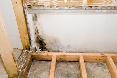 Why Should I Be Concerned About Basement Moisture?