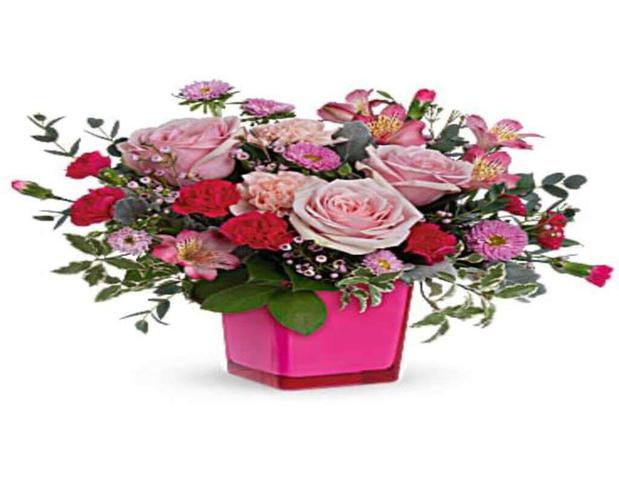 Images Stein’s Flowers & Gifts Inc