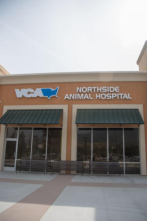 Images VCA Northside Animal Hospital