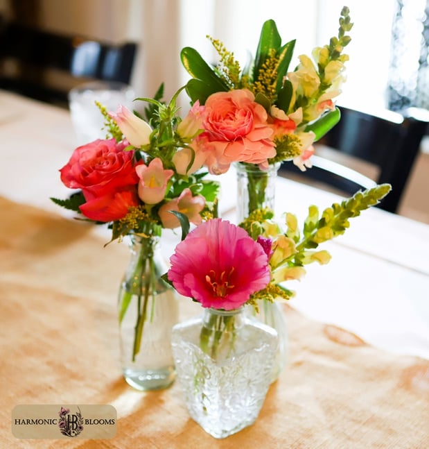 Images Harmonic Blooms