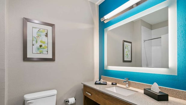 Images Best Western Plus Houston Atascocita Inn & Suites