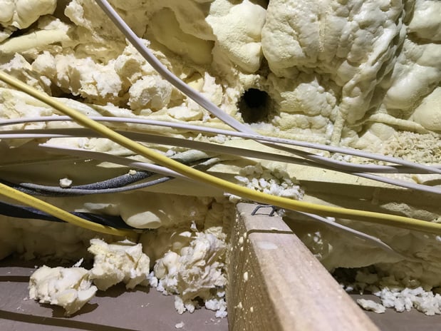 Images Omega Animal Removal Dallas