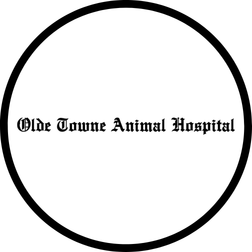 Olde Towne Animal Hospital Logo