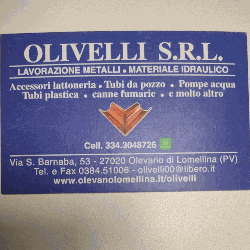 Olivelli S.r.l. Logo