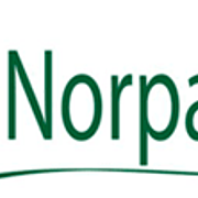 Norpavi-Relva Sintética Logo