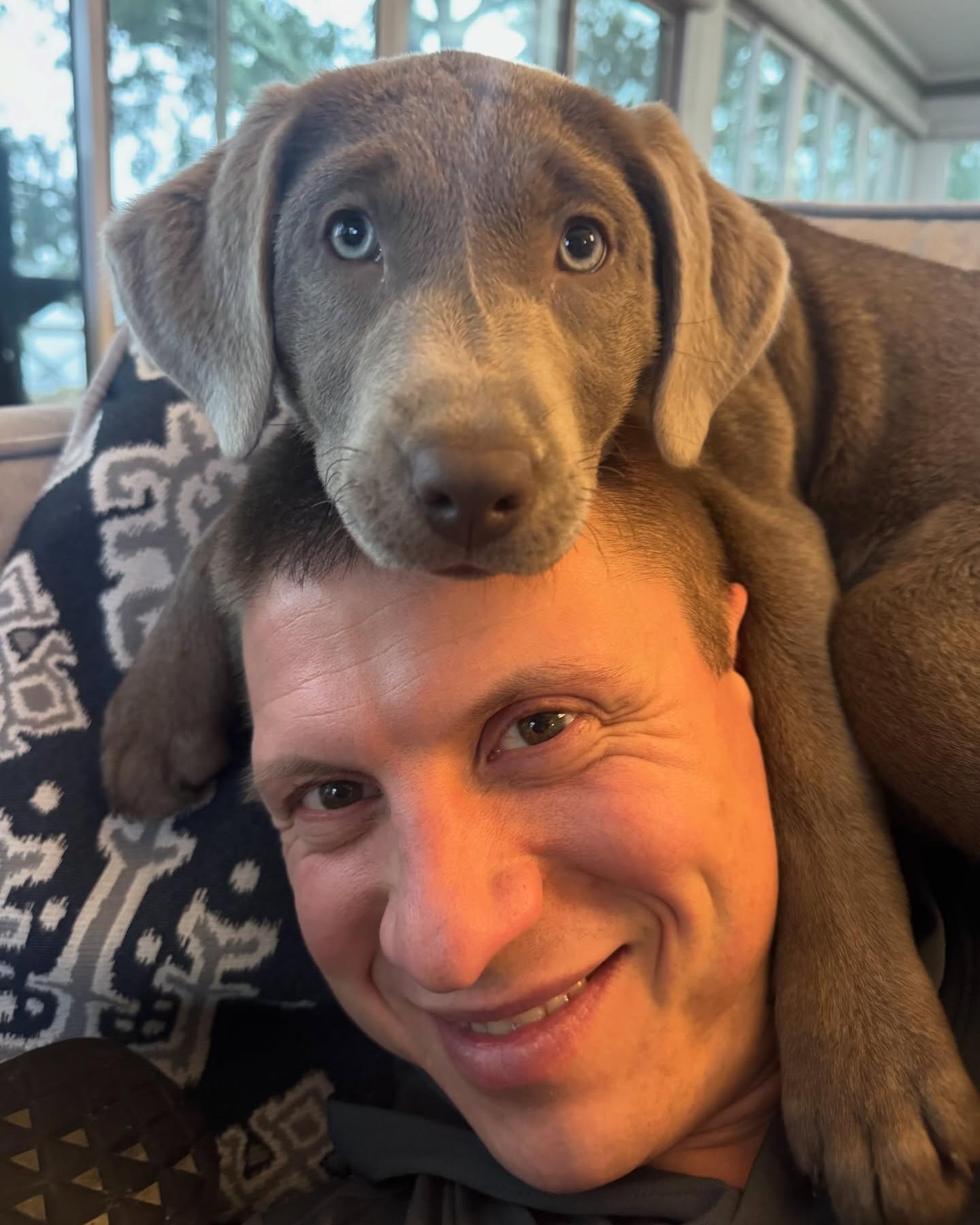 Now is a great time to take a closer look at your pet health insurance. Stop by or give us a call to review your current setup or request a quote. Our team is ready to help you care for your furry family members.