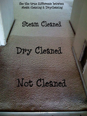 Images All Clean Carpet & Upholstery, Inc