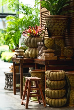 Images Mahoney's Garden Center