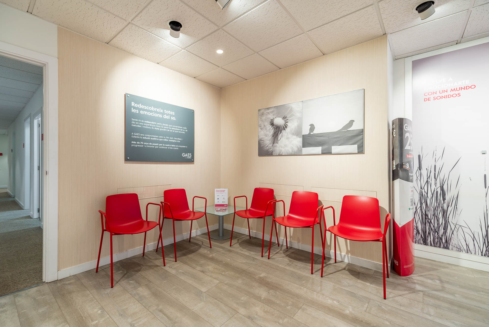 Galería en miniatura