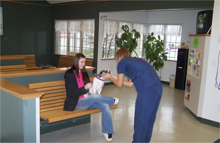 Images VCA Green Animal Hospital