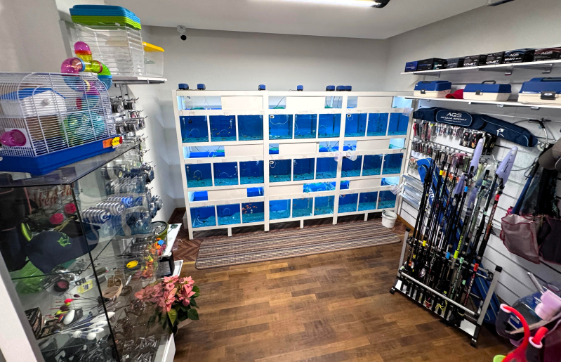 Images L'Arca di Gio'