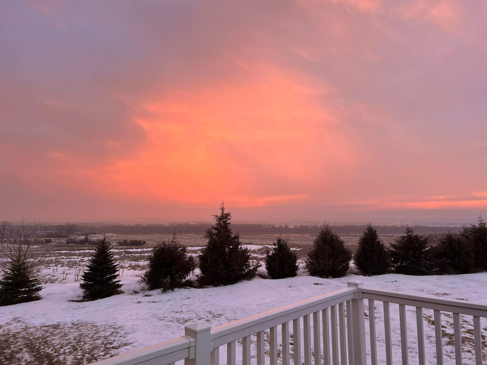 Renae Haug - State Farm Insurance Agent Image