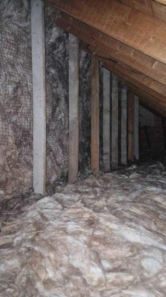 Images Whole House Insulation Ltd