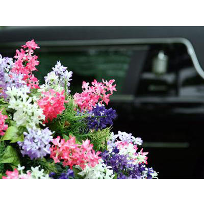 Images Agenzia Funebre Isola Salvatore