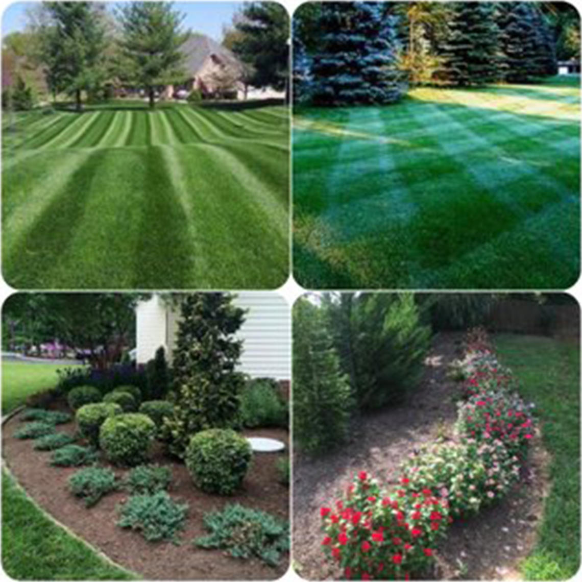 Guzman Landscaping LLC Logo