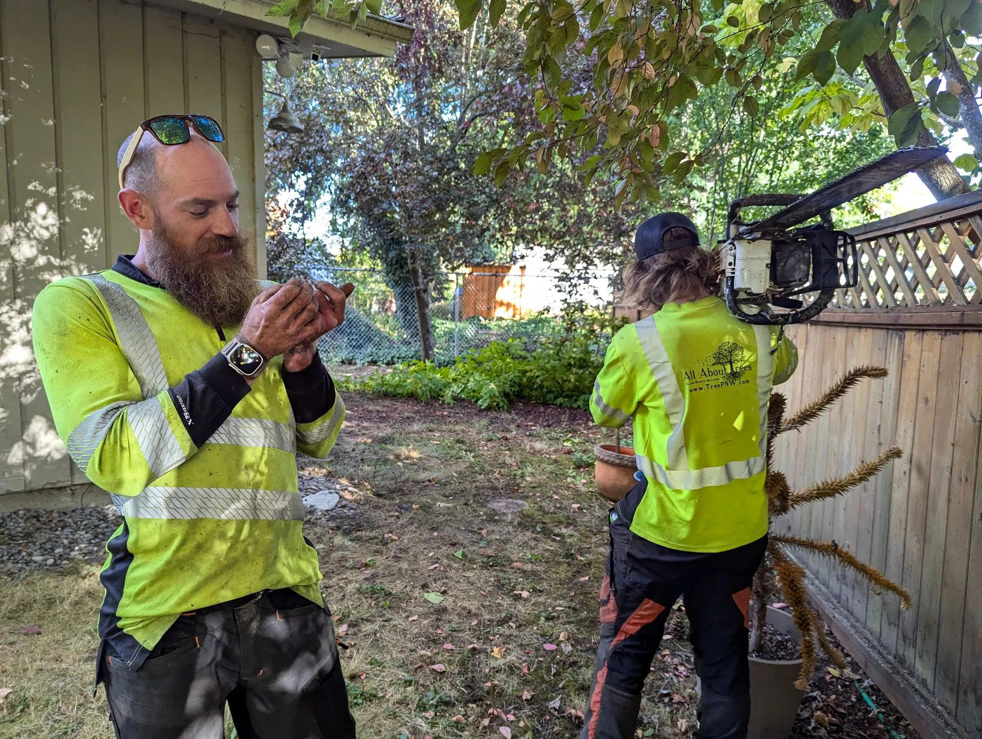 Tree service professionals work together on a residential property, showcasing teamwork, specialized 