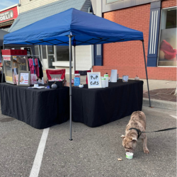 Images Pet Care Plus