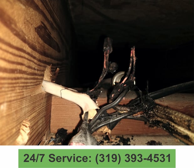 Images Premier Electrical Services