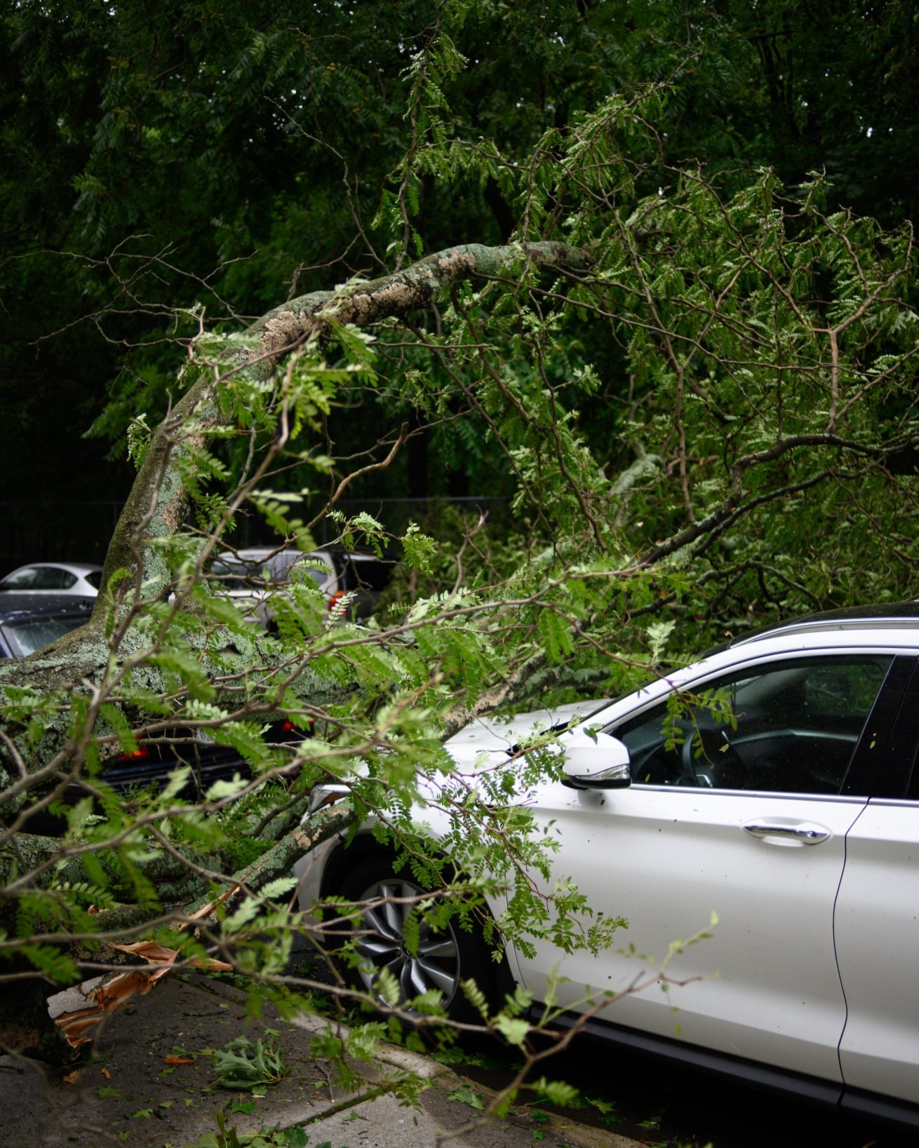 When severe weather strikes, you want to know you're prepared. Our team is here to help make navigating vehicle repairs straightforward. Reach out to our office to look over your auto options and keep your vehicle moving forward.