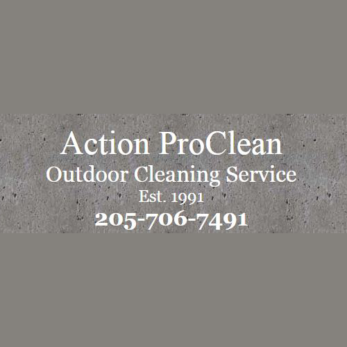 Action ProClean