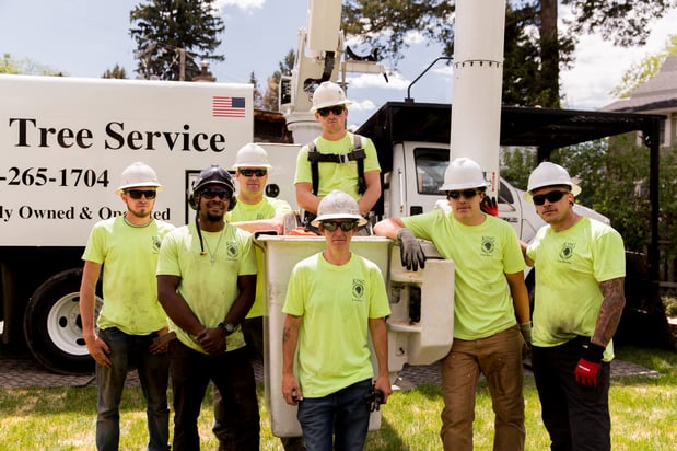 Images King Tree Service