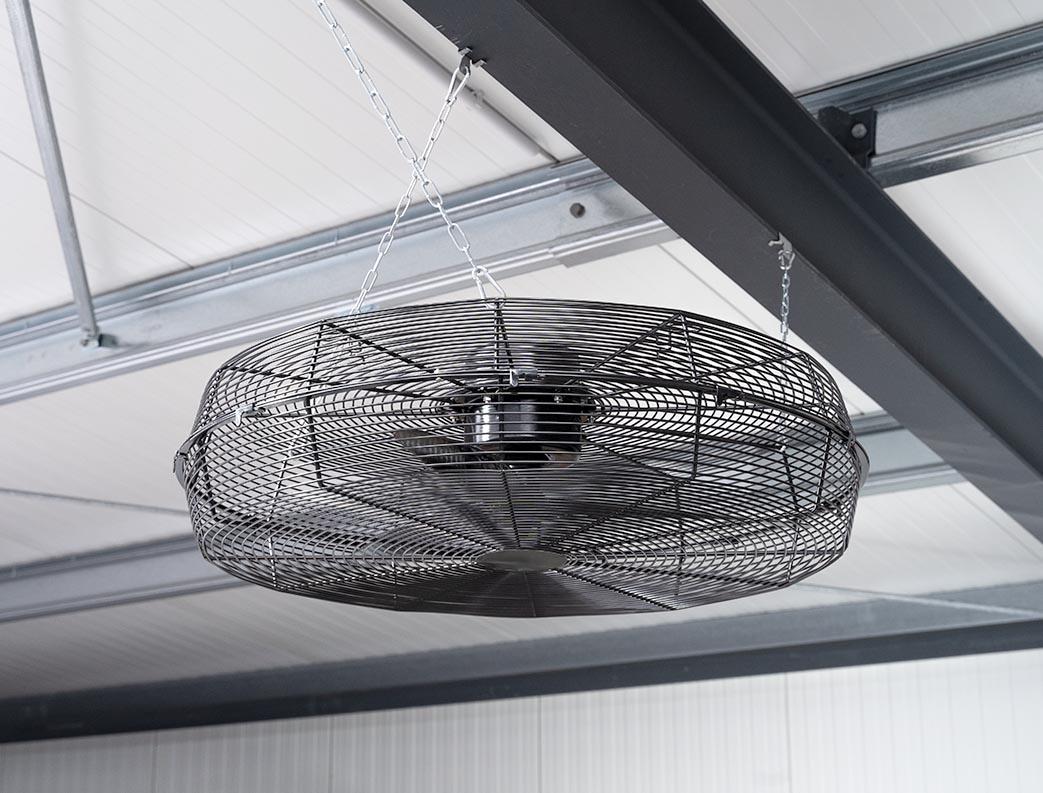 Fenne KG, Oppendorfer Strasse 37 in Stemwede