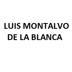 Luis Montalvo De La Blanca Guadalajara