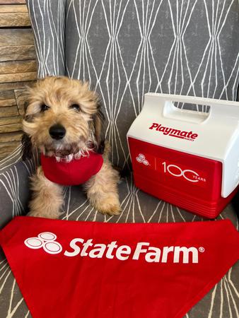 Images Bob Speck - State Farm Insurance Agent
