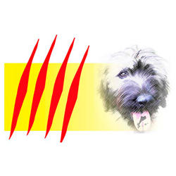 Gos Lluçanes Logo