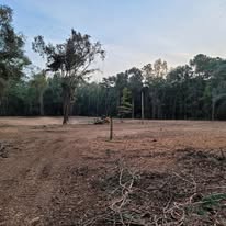 Images J & M Forestry and Mulching LLC